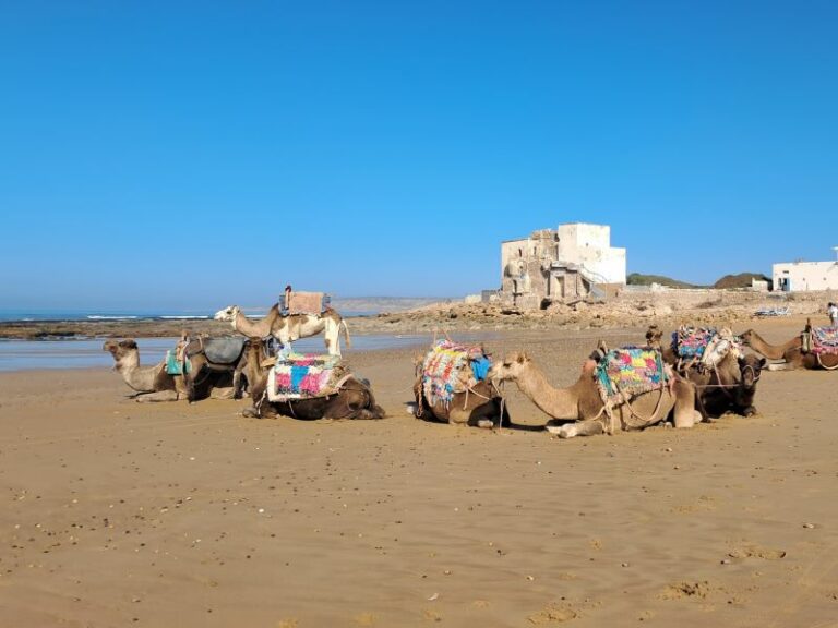 Essaouira